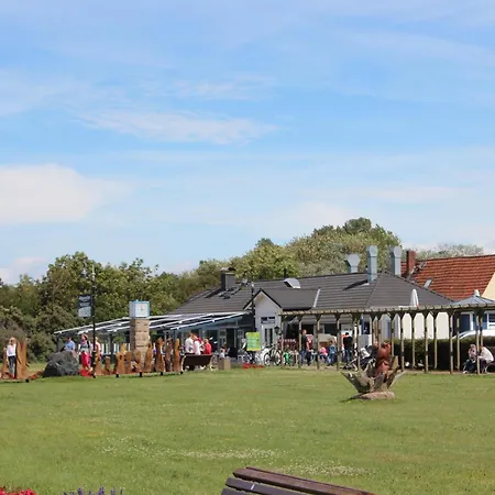 Gesine 3 公寓 奥斯特巴特宁哈根